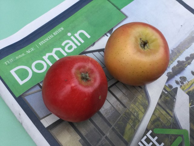 Photo by Frederica Slipper